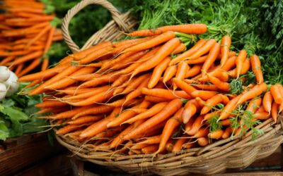 Seasonal Vegetables of December: What’s Fresh & How to Use It